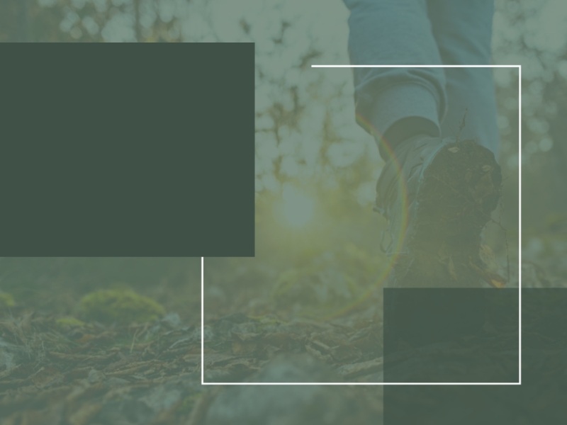 grafik fra projektet Litterære lydvandringer