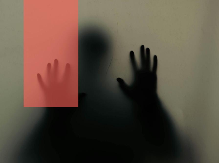 Noget, der ligner Jussi Adler-Olsen